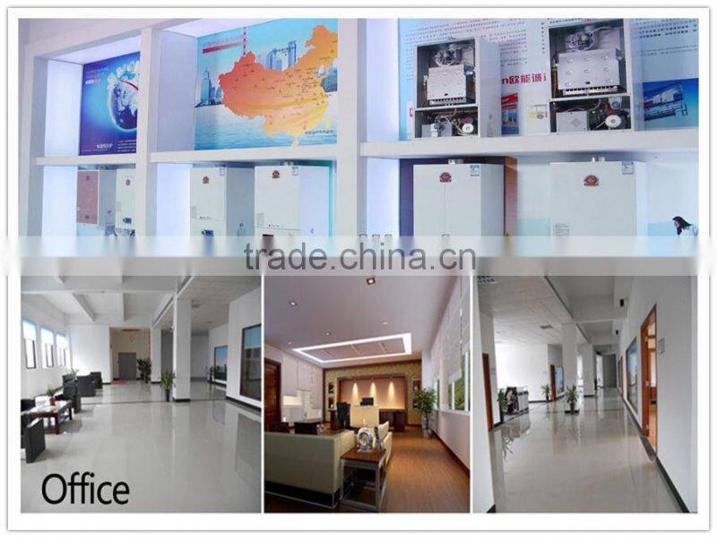 Wall Hung Gas Boiler For Russia Market