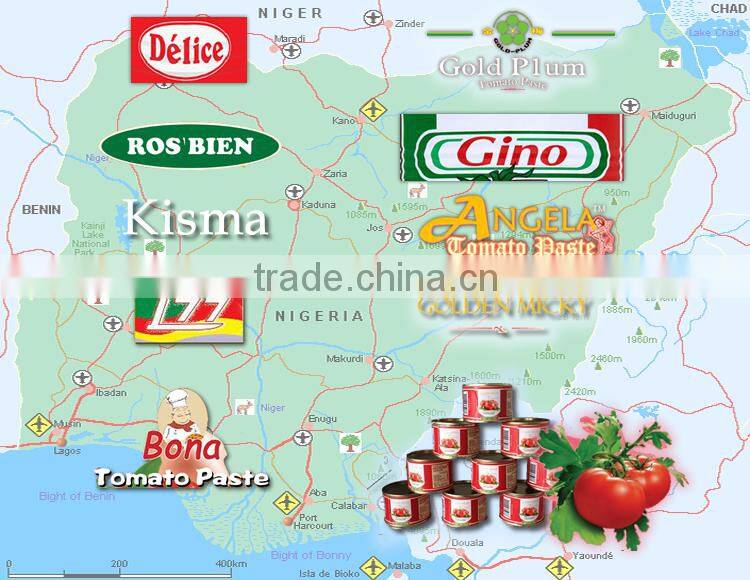 NAFDAC Tomato Paste Brix 28-30% canned 70g - 4500g fair quality for Nigerian cheaper market