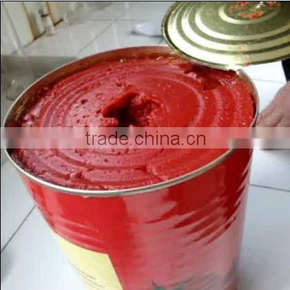 Canned Tomato Puree Canned Tomato Paste