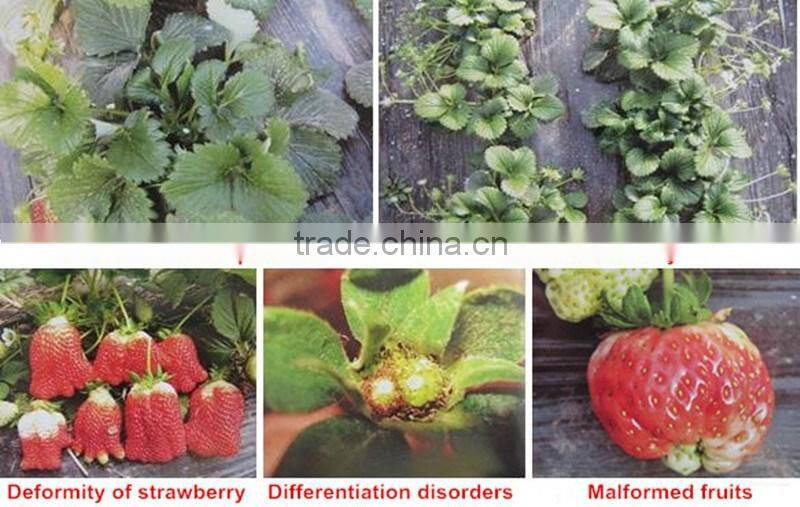Huminrich 100% Water Soluble Organic Potassium Humate Best Fertilizer For Strawberry