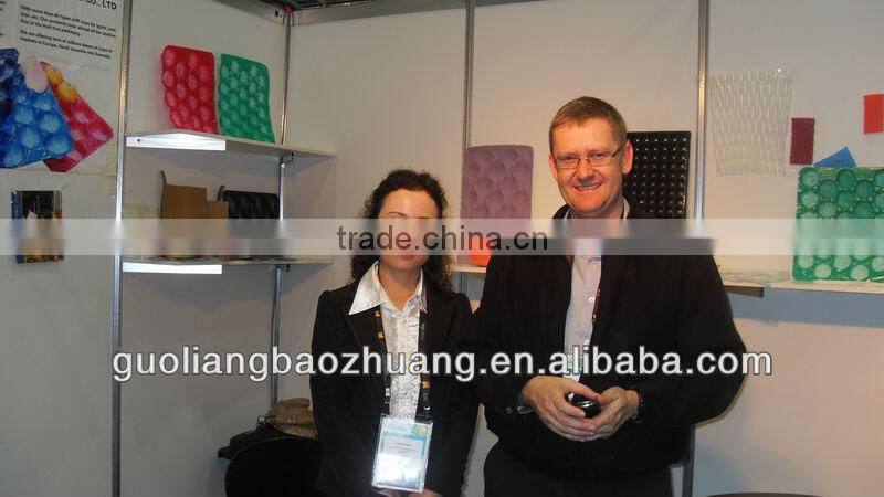 Recycled Fruit Tray Punnet