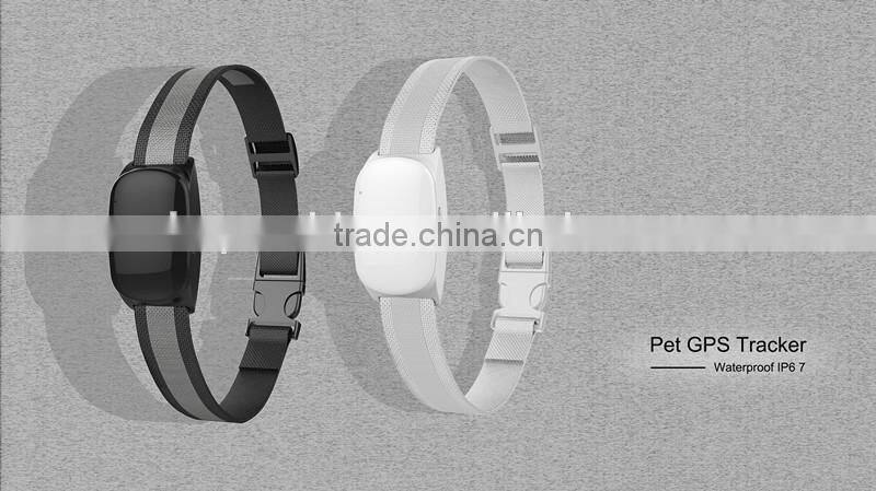 Hot Mini GPS locator worlds smallest pet gps tracker/gps tracker smallest