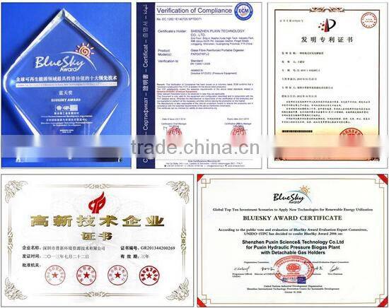 China Puxin Excellent Safety Feature Household 4m3 Biogas Anaerobic Digester