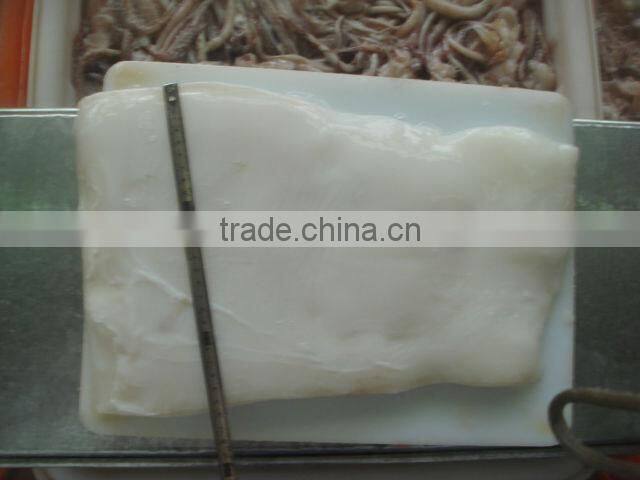 squid fillet