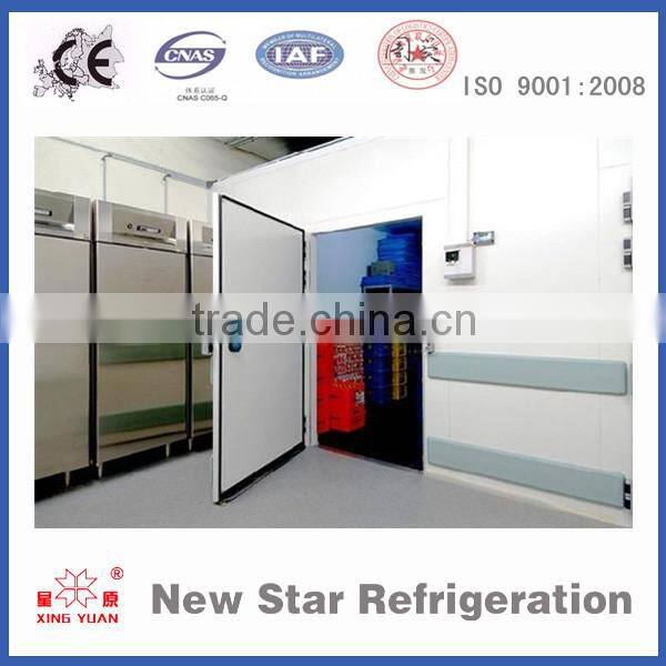 Cold room double swing door with pu panel