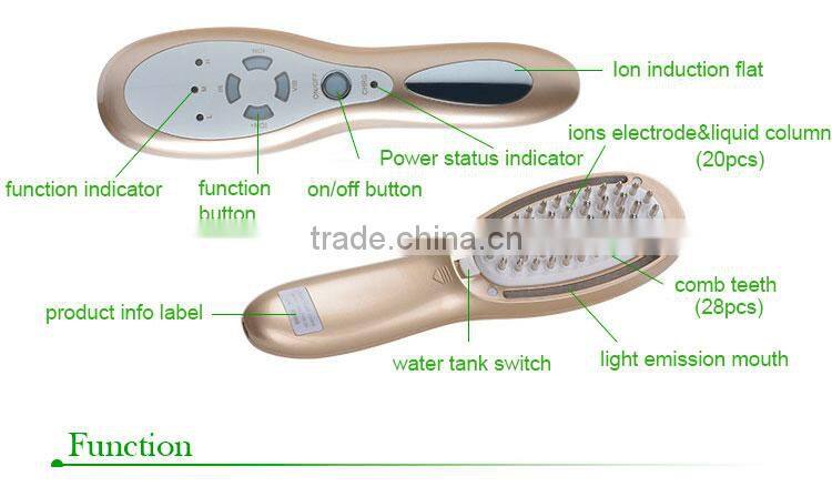 EveryLady new arrival electric hair growth massage comb