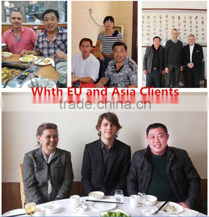 Straight Blowing Type Conveyor Dryer/The most advanced/professional direct blowing diced onion/banana chips dryer