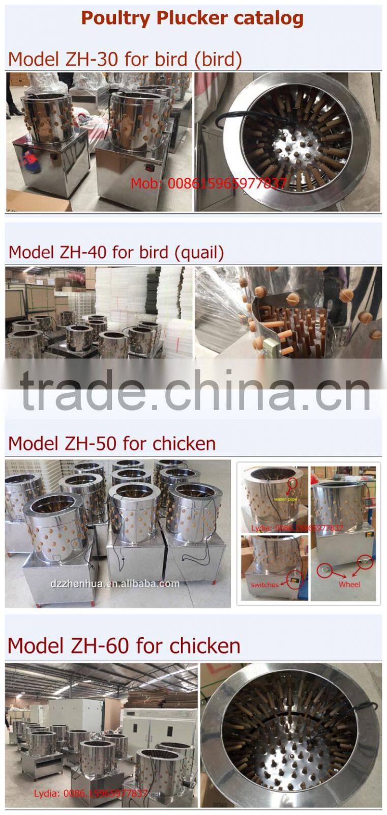 china factory manufacturer chicken plucker for sale ZH-65 (Lydia whatsapp: 0086.15965977837)