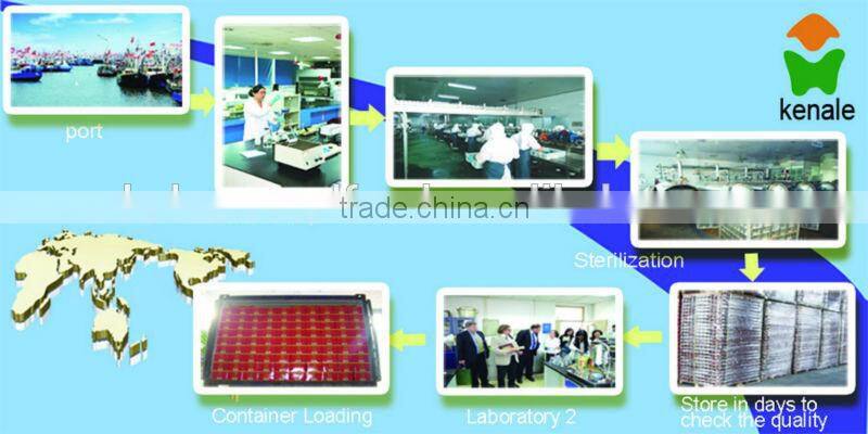 125g*50tins canned sardine in vegetable oil buying sardines