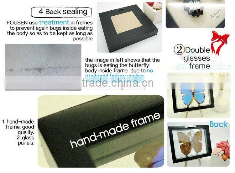 FOUSEN(011) Nature& Art natural real dried butterfly unique table frame