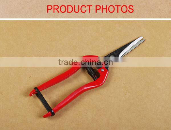 8" Inch Fruit shear Picking fruit scissors