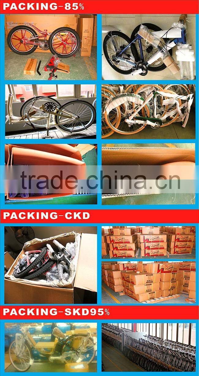 city bike /bicycle/road bike/bicycel/mtb bicycle