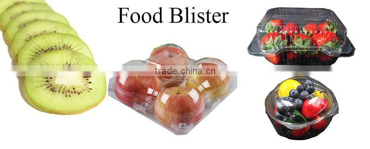 Thick vacuum formed compartment plastic tray