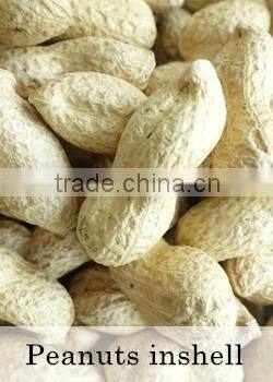 Groundnuts manufacture