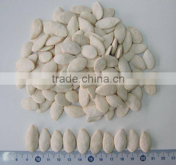 wholesale delicious sunflower seeds