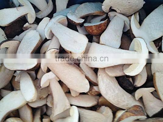 Good quality frozen IQF king oyster mushroom pieces
