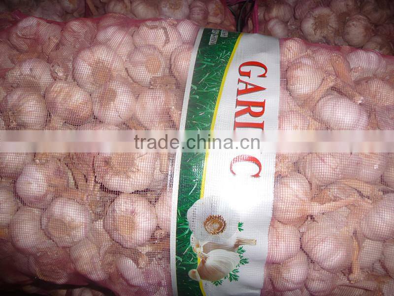 Dehydrated vegetable air dried white garlic