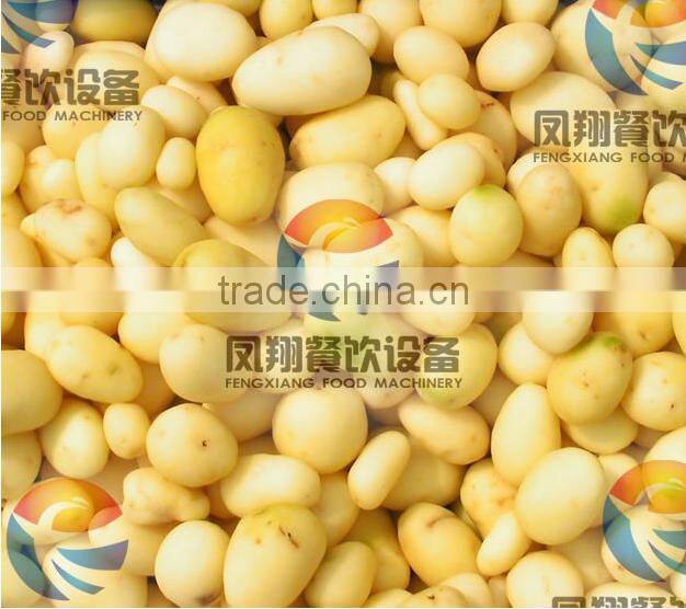 LXTP-3000 screw type vegetable washer and peeler machine