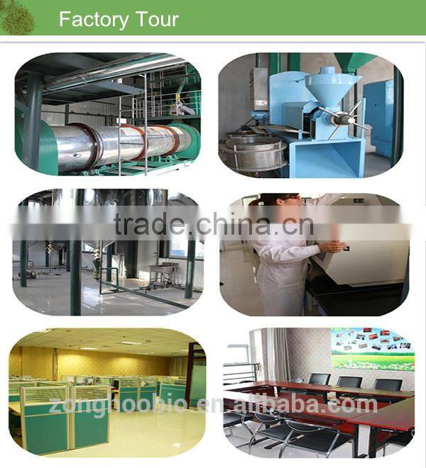 High Quality nature Oat Oil