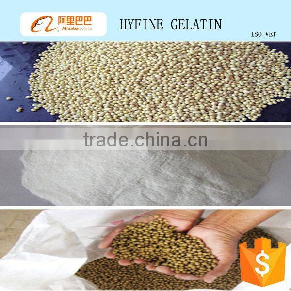 Protein hydrolyzed collagen/collagen type ii