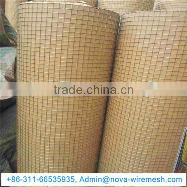 Chicken Coop welded mesh / Welded wire mesh mew product / Welded wire mesh for birds cage