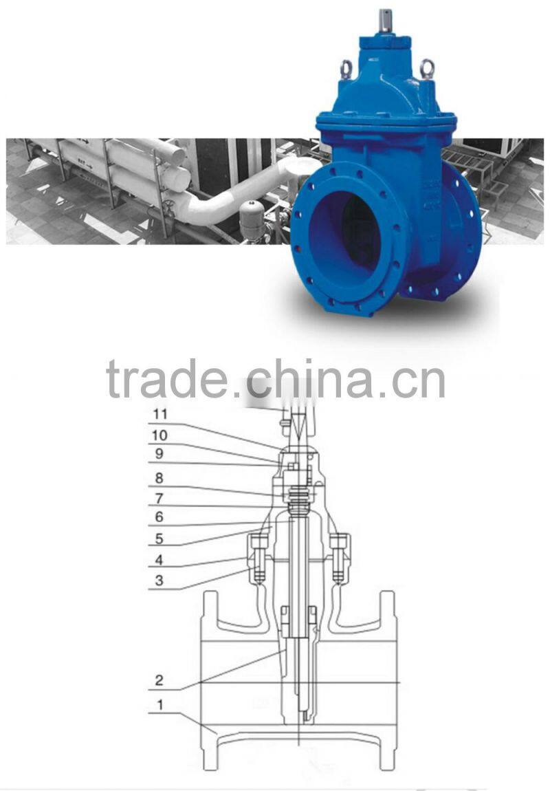 China supply manual operated casting iron rising stem gate valves
