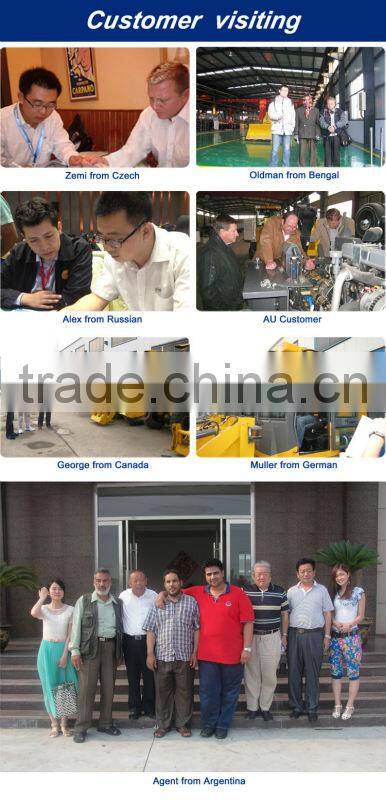#12-5 fast delivery garden bulldozing loader 2010kg ISO certificate