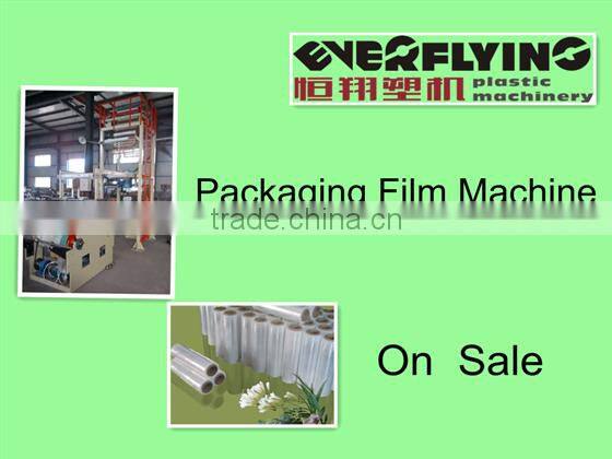 Everflying PE plastic film blowing machine