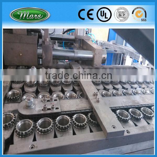 PET Blow Moulding Machine