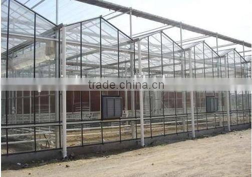 Standard Used Glass Multi Span Greenhouse