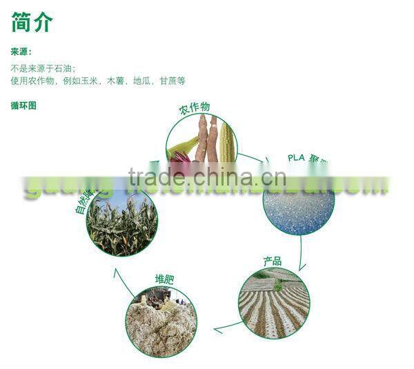biodegradable and compostable PLA film/PLA packing film