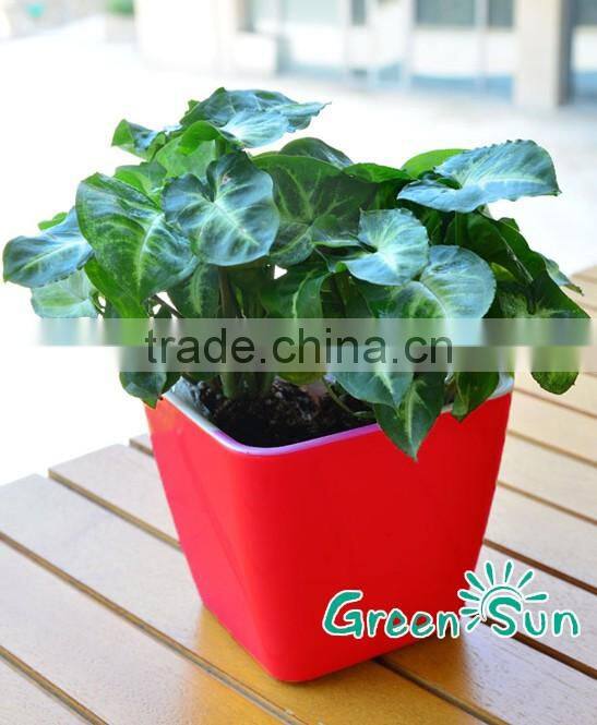 Middle square plastic gardening balcony flower pots for sale
