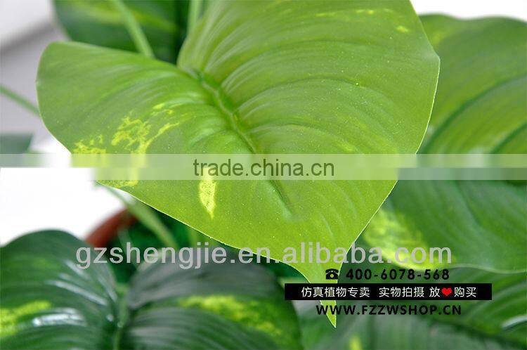 china new products,mini bonsai,artificial Scindapsus aureus