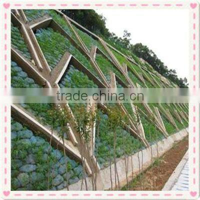 non woven bags for afforestation of city