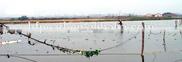 unique 6-12mm yellow 14K gold clasps for jewelry necklaces