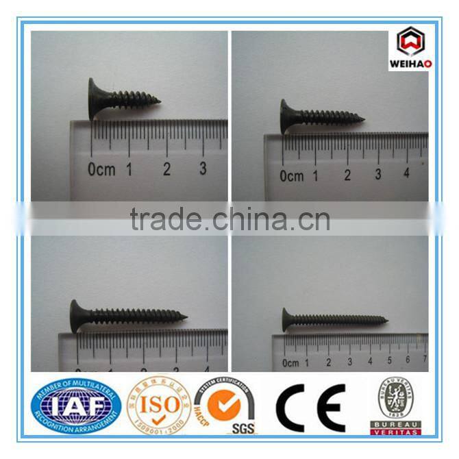 hot sell high qualiy dry wall screw by china screw manufacturer