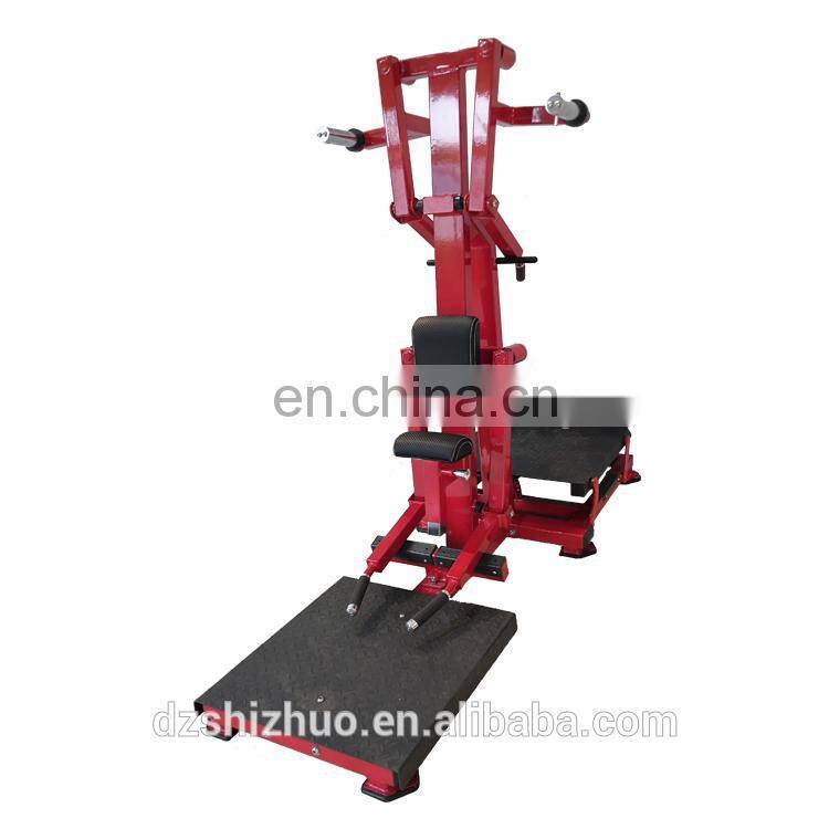 Dezhou Shizhuo 2019 new arrival high quality Lateral Raise machine commercial gym fitness equipment RHS53