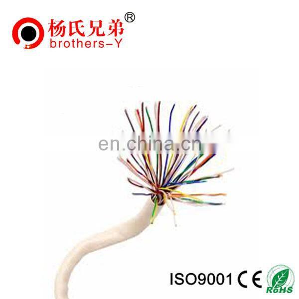 Armoured multipairs telephone cable 100 pair aerial telephone cable Multi pairs Communication Cable