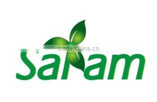 1KW wind energy alternator