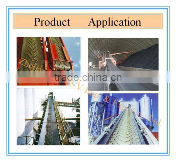 Slip resistant conveyor belt