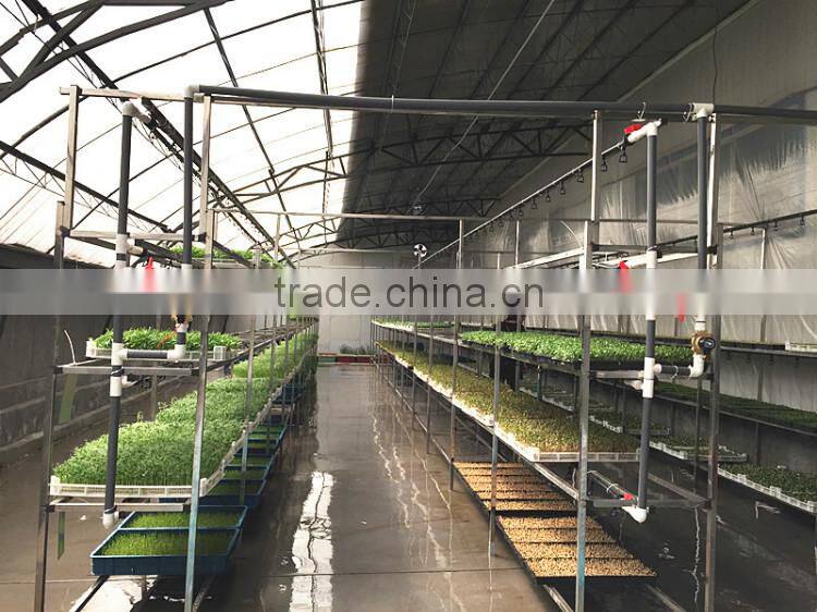 Automatic Bean Sprout Machine With CE