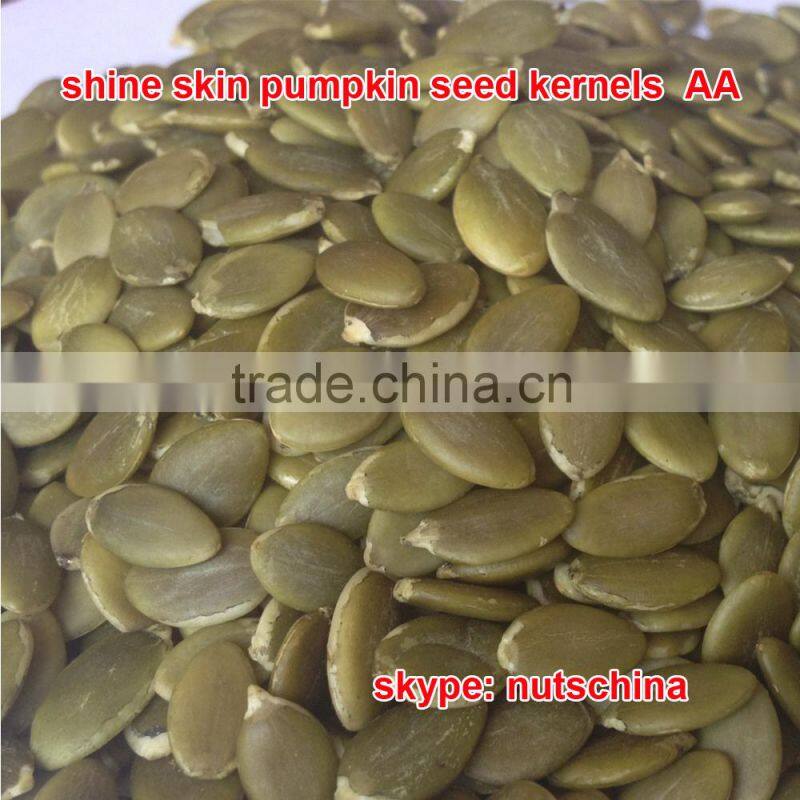PUMPKIN SEEDS FOR IRAN UAE SAUDI ARABIA JORDAN RUSSIA 11cmup 13 cm up 11mm up 13 mm up