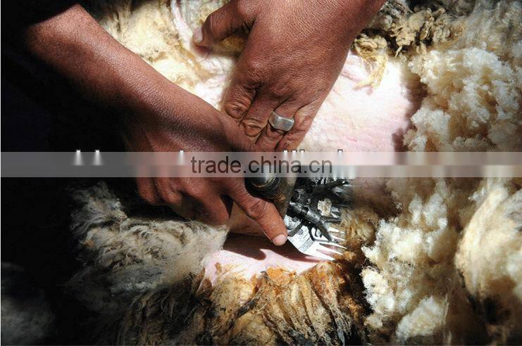 680W Electric Sheep Shears