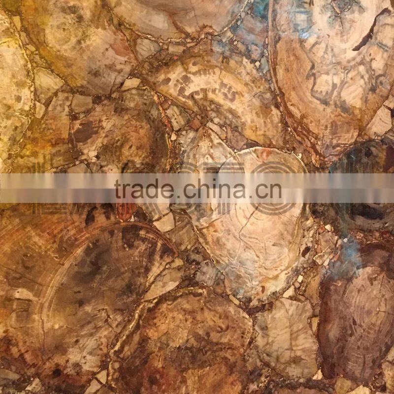 Natural gemstone wood fossil stone petrified wood