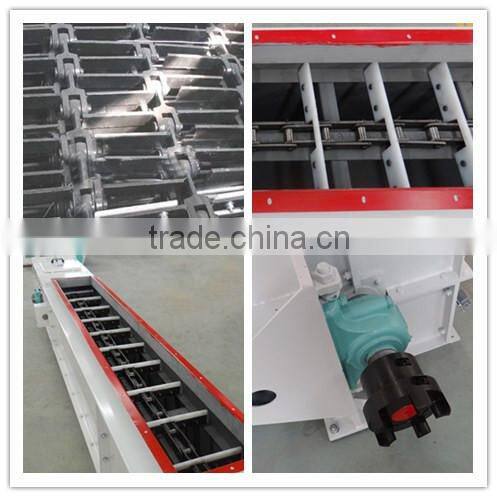 Professional Chain Conveyor