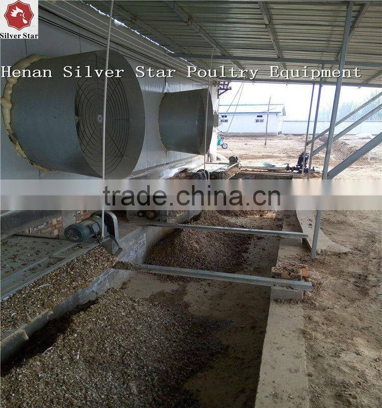 3 tier design A type ladder layer cages for chickens with scarpper manure removal system