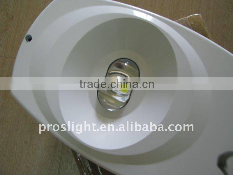 100w cob led outdoor luminaire landscape lighting