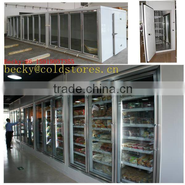 polyurethane insulated glass door freezer storage