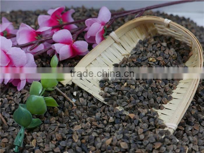 High Quality raw Buckwheat price
