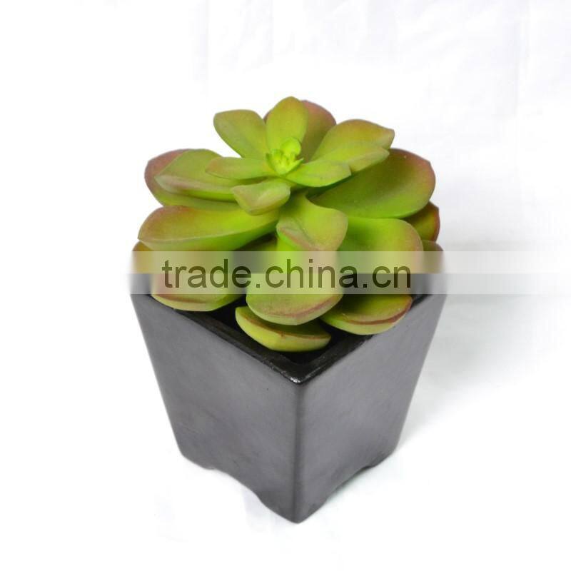 Captivating Assorted PVC Ceramic Succulent in mixed color